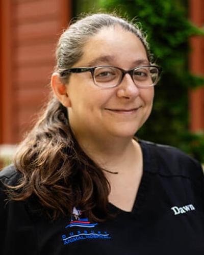 Dawn Johnson