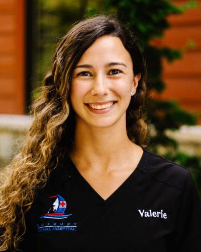 Valerie Murphy